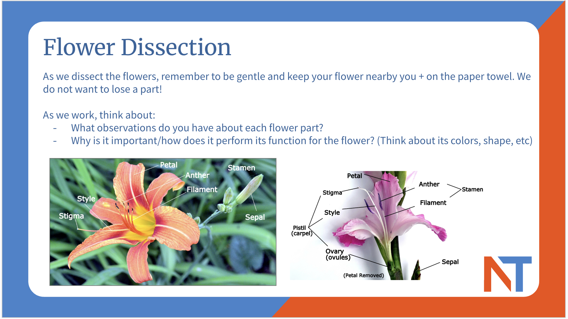 Natural Sciences Workshops 3